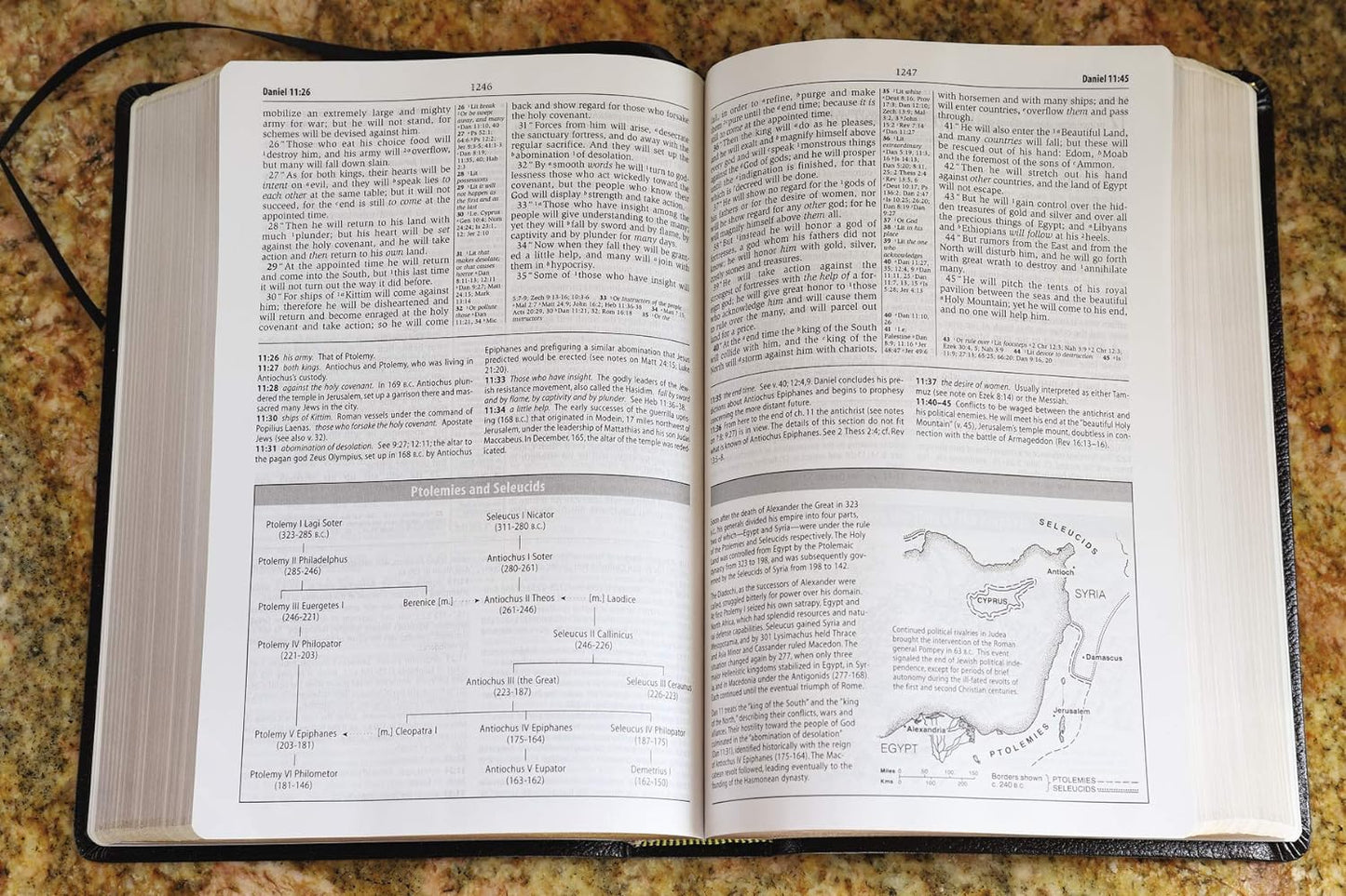 NASB Study Bible, Black