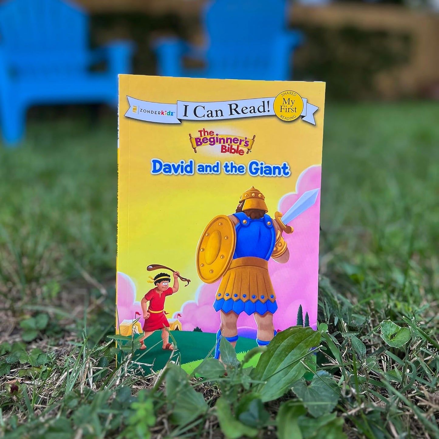 The Beginner's Bible David and the Giant