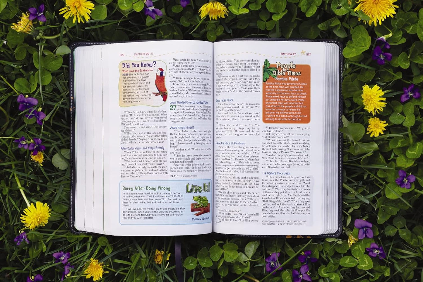 NKJV, Adventure Bible