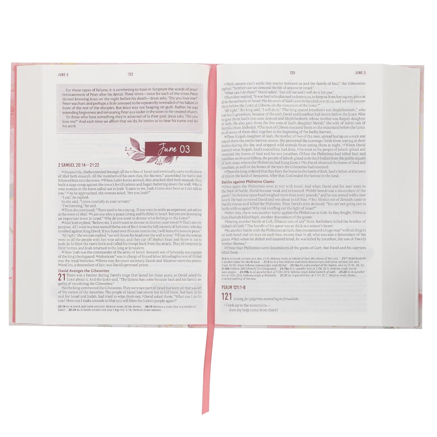 NLT Holy Bible Everyday Devotional Bible for Women