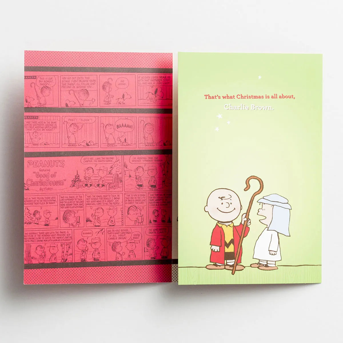 Peanuts Christmas - Saviour, Christ the Lord - 18 Premium Christmas Boxed Cards, KJV