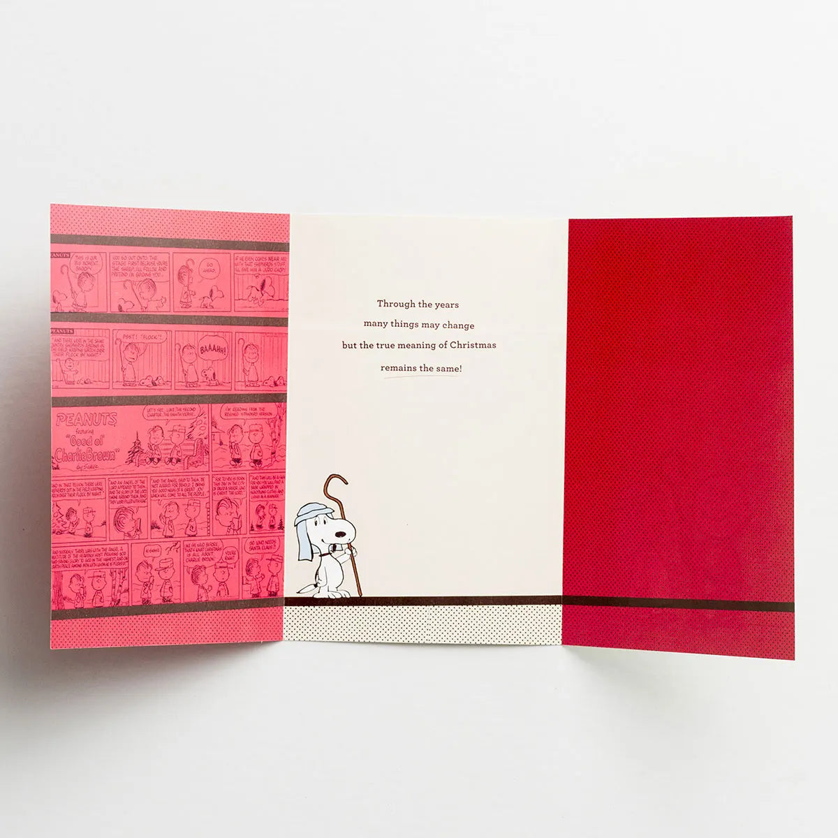 Peanuts Christmas - Saviour, Christ the Lord - 18 Premium Christmas Boxed Cards, KJV