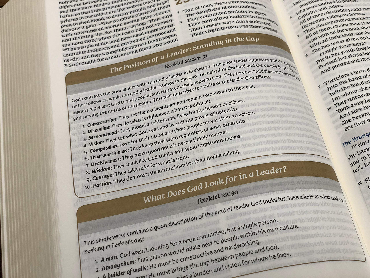 NKJV Maxwell Leadership Bible