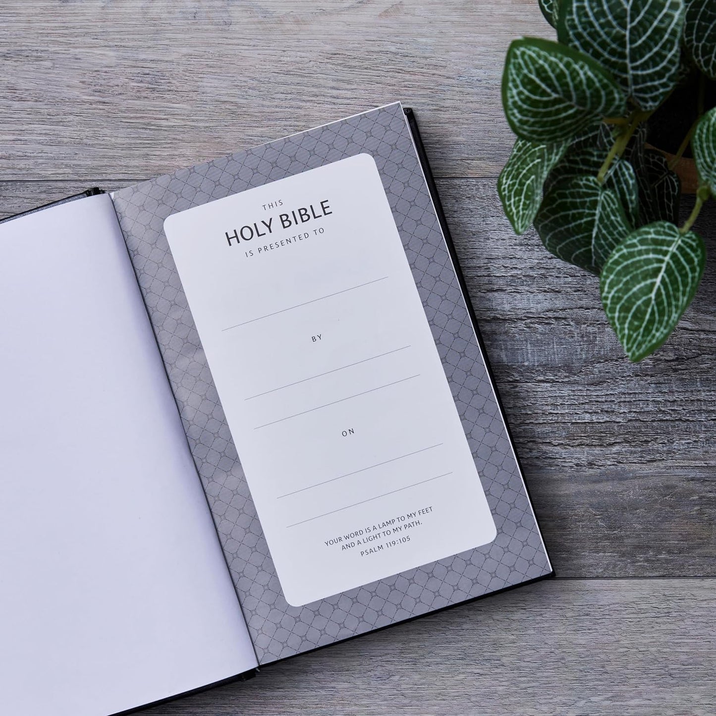 NKJV Personal Size Large Print Bible