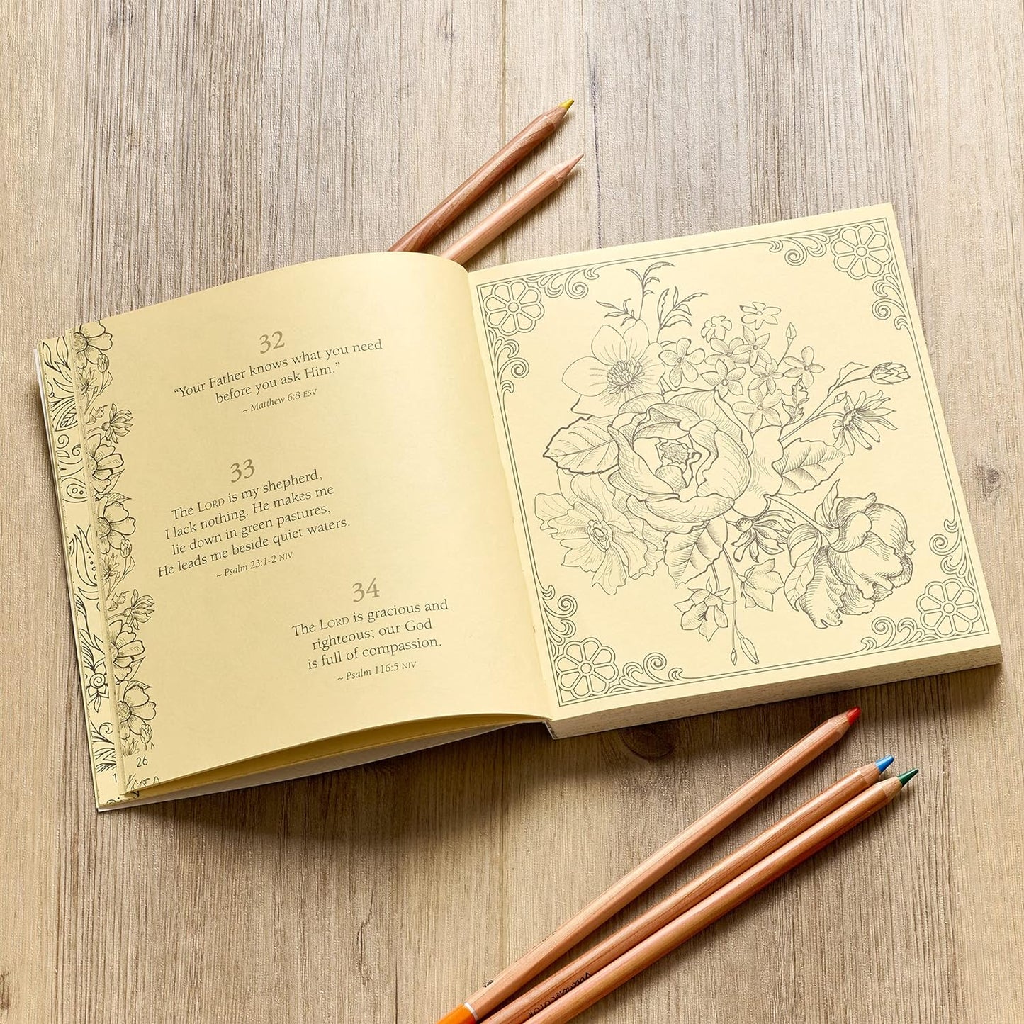 365 Promises From God's Word In Color