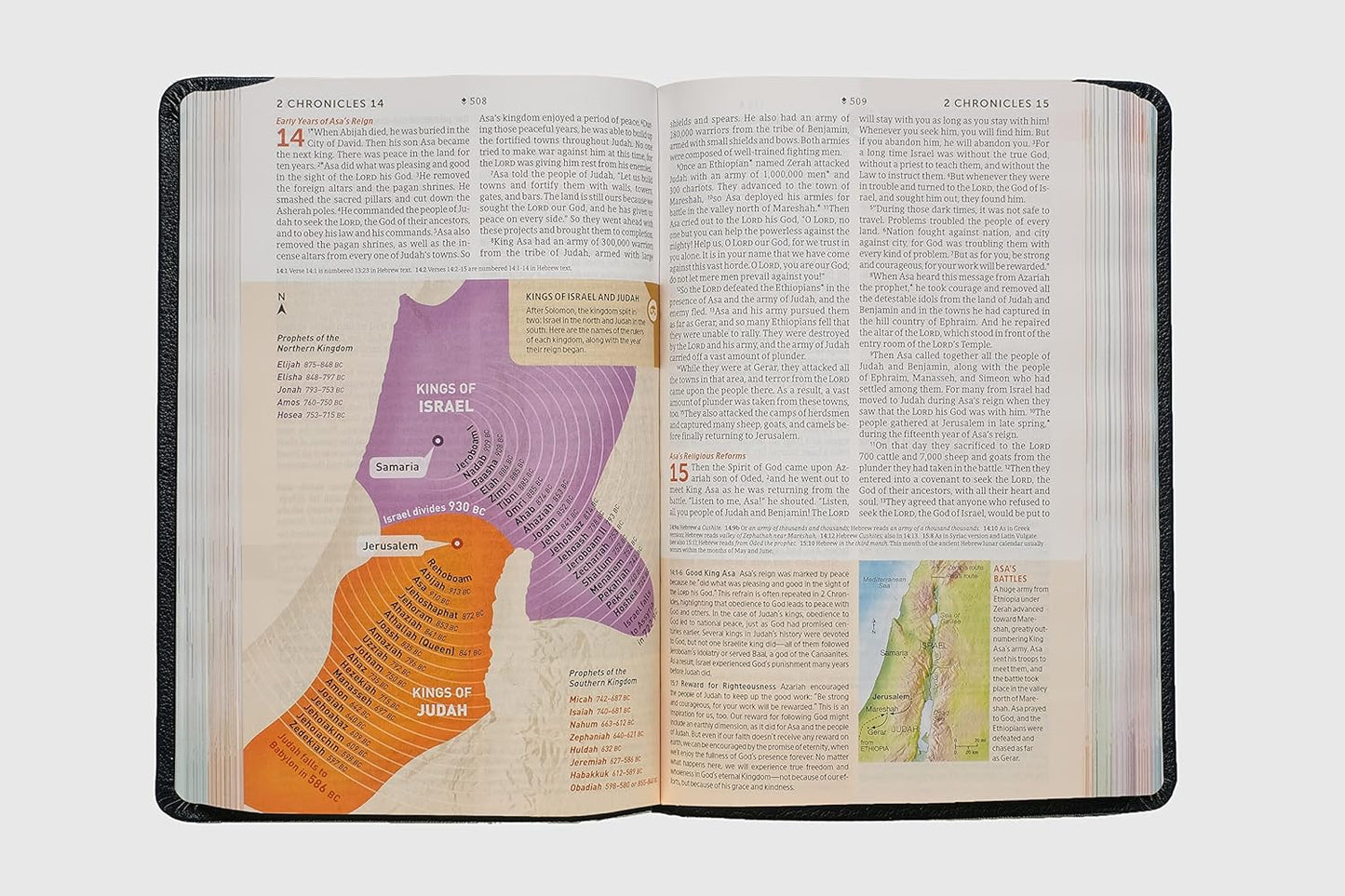 NLT Student Life Application Study Bible