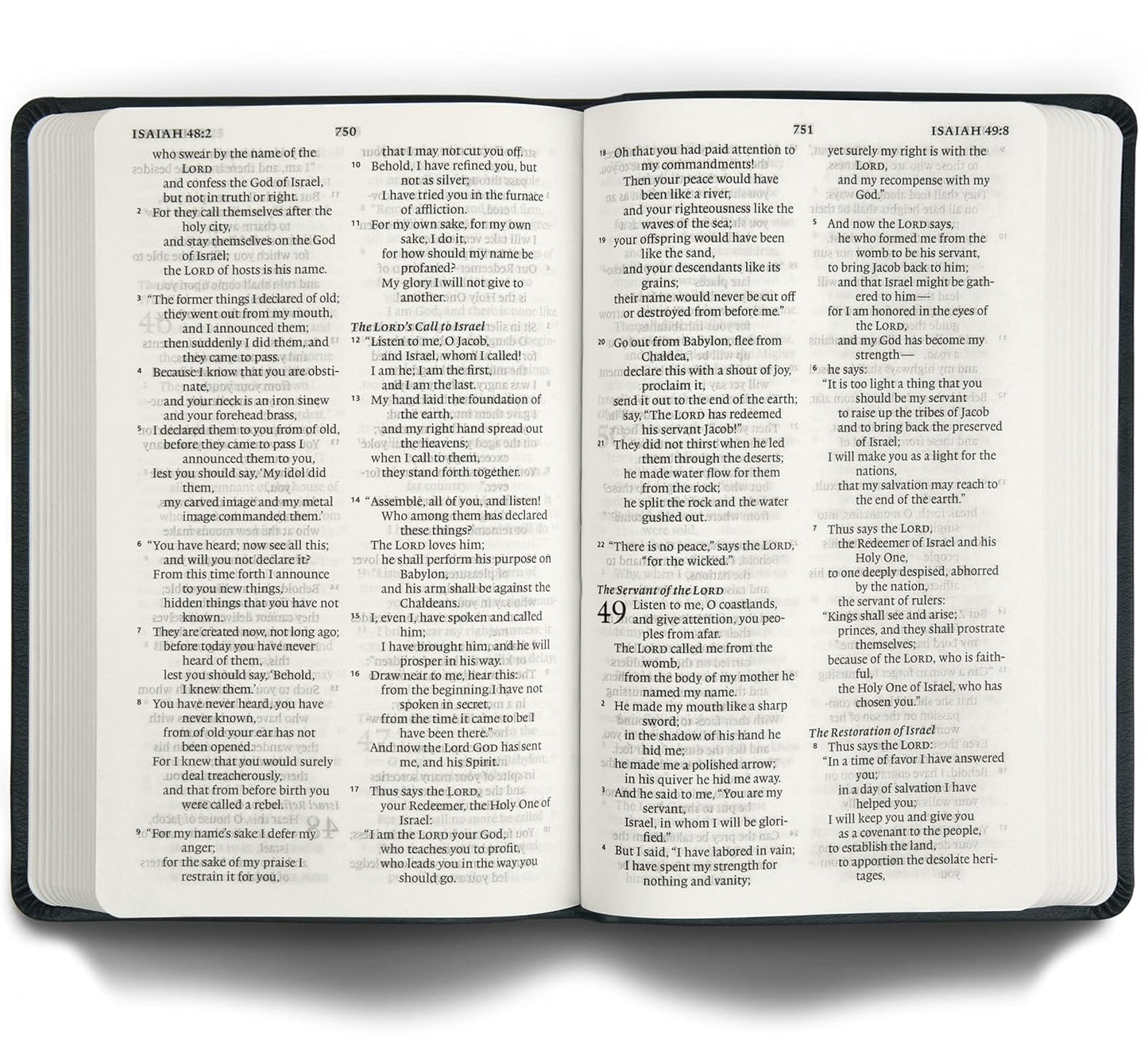 ESV Large Print Value Thinline Bible (TruTone, Camel)