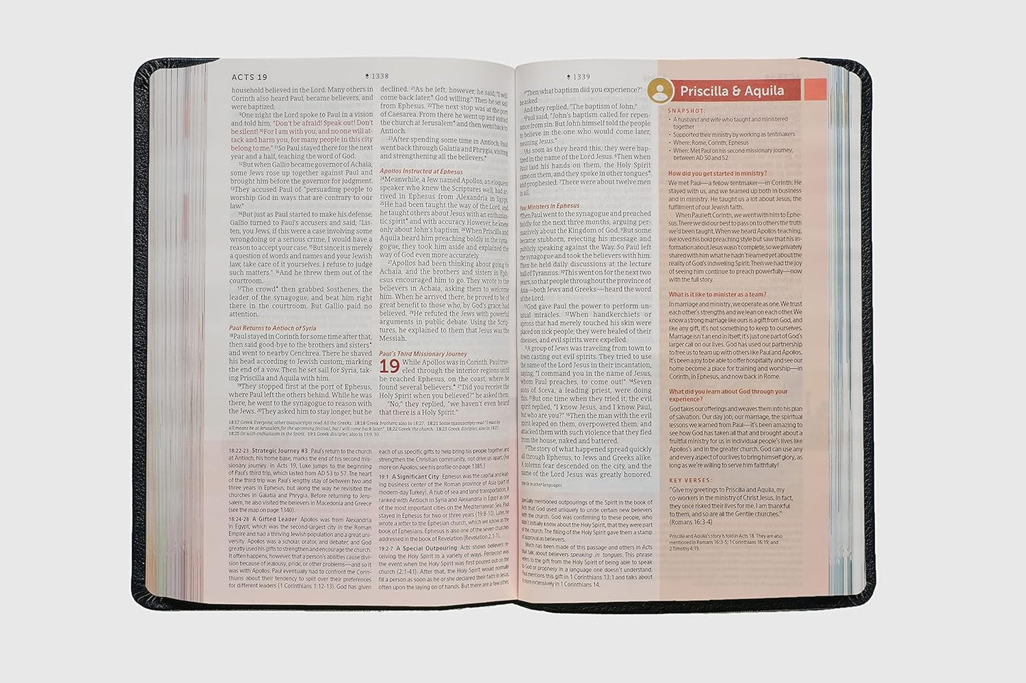 NLT Student Life Application Study Bible