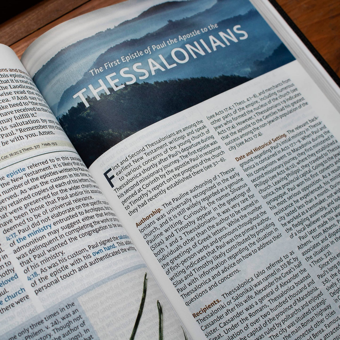 NKJV, Evangelical Study Bible
