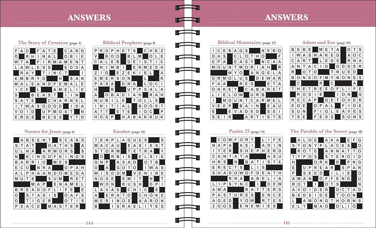 Brain Games - Bible Crossword Puzzles