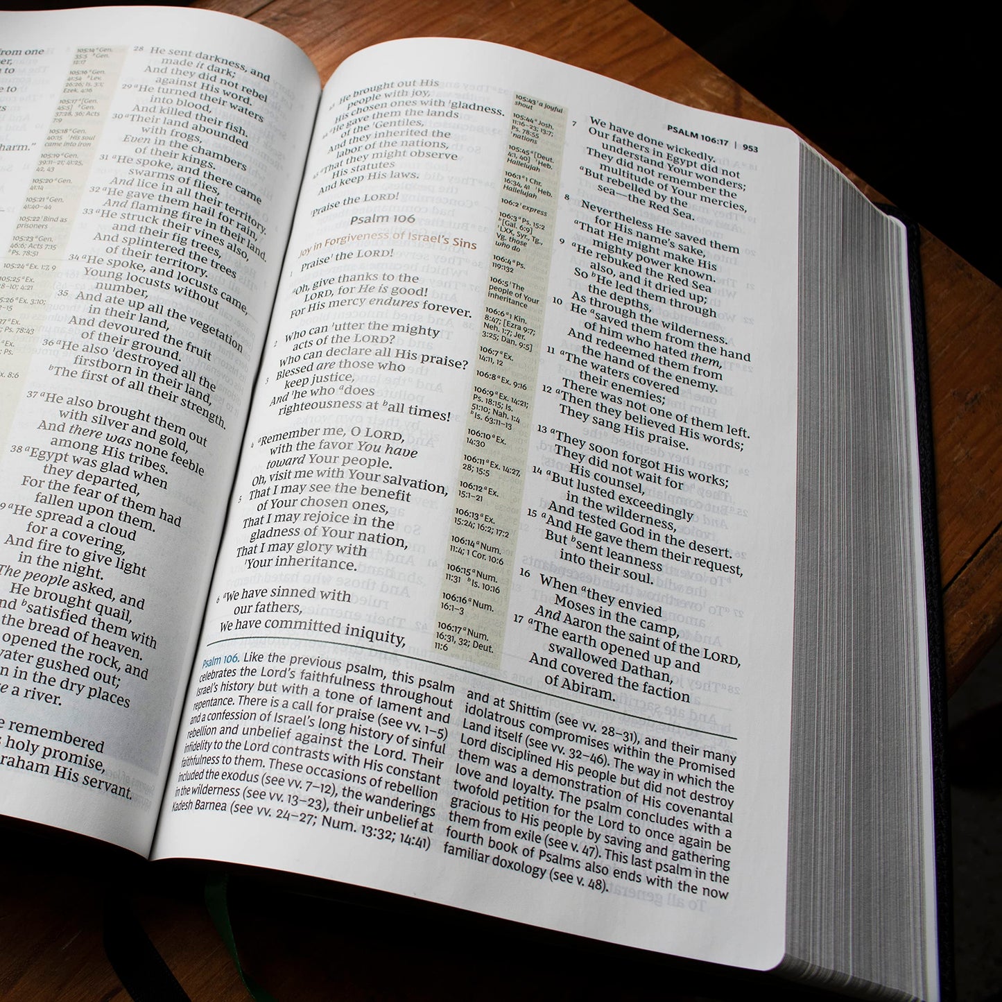NKJV, Evangelical Study Bible
