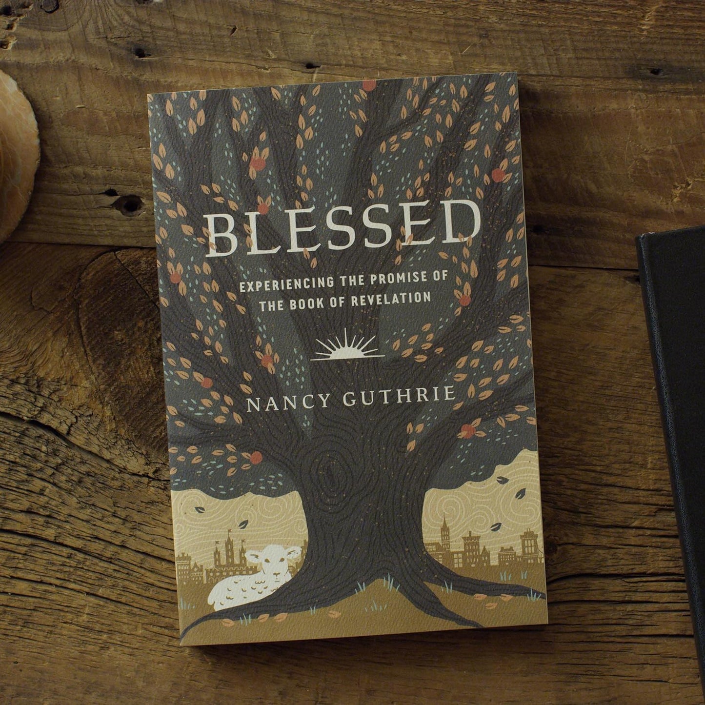 Blessed: Experiencing the Promise of the Book of Revelation