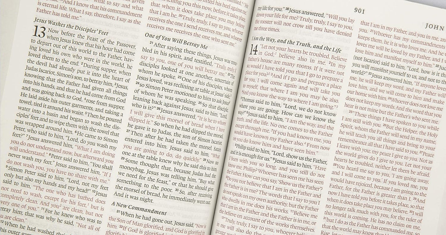ESV Thinline Bible (TruTone, Espresso)