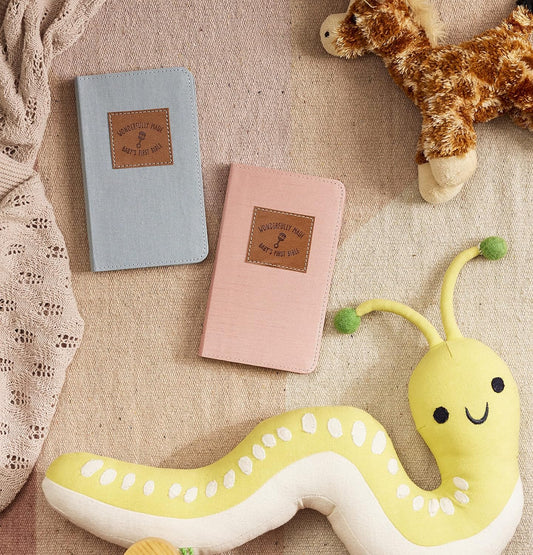 Wonderfully Made: Baby's First Bible