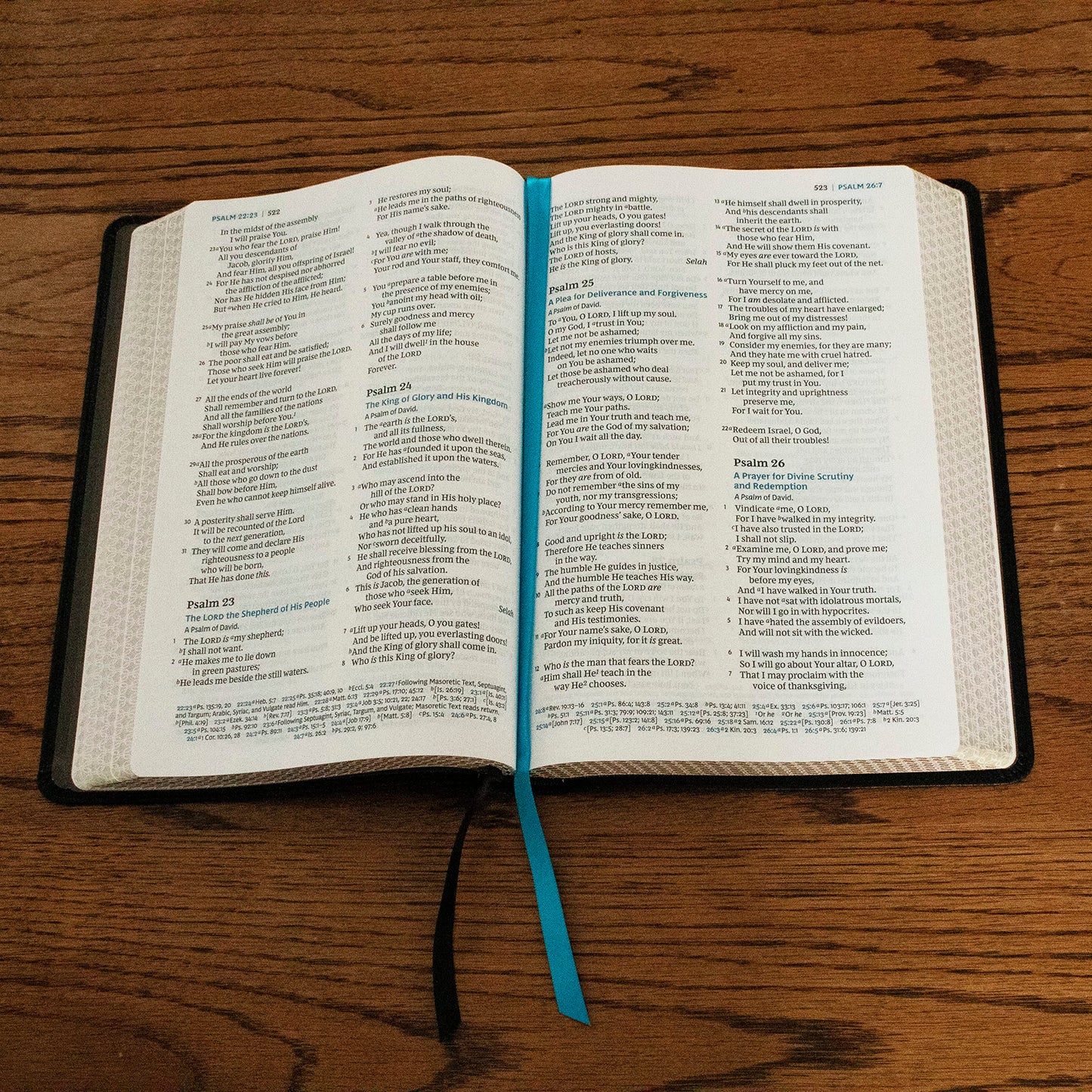 NKJV, Large Print Thinline Reference Bible, Blue Letter, Maclaren Series