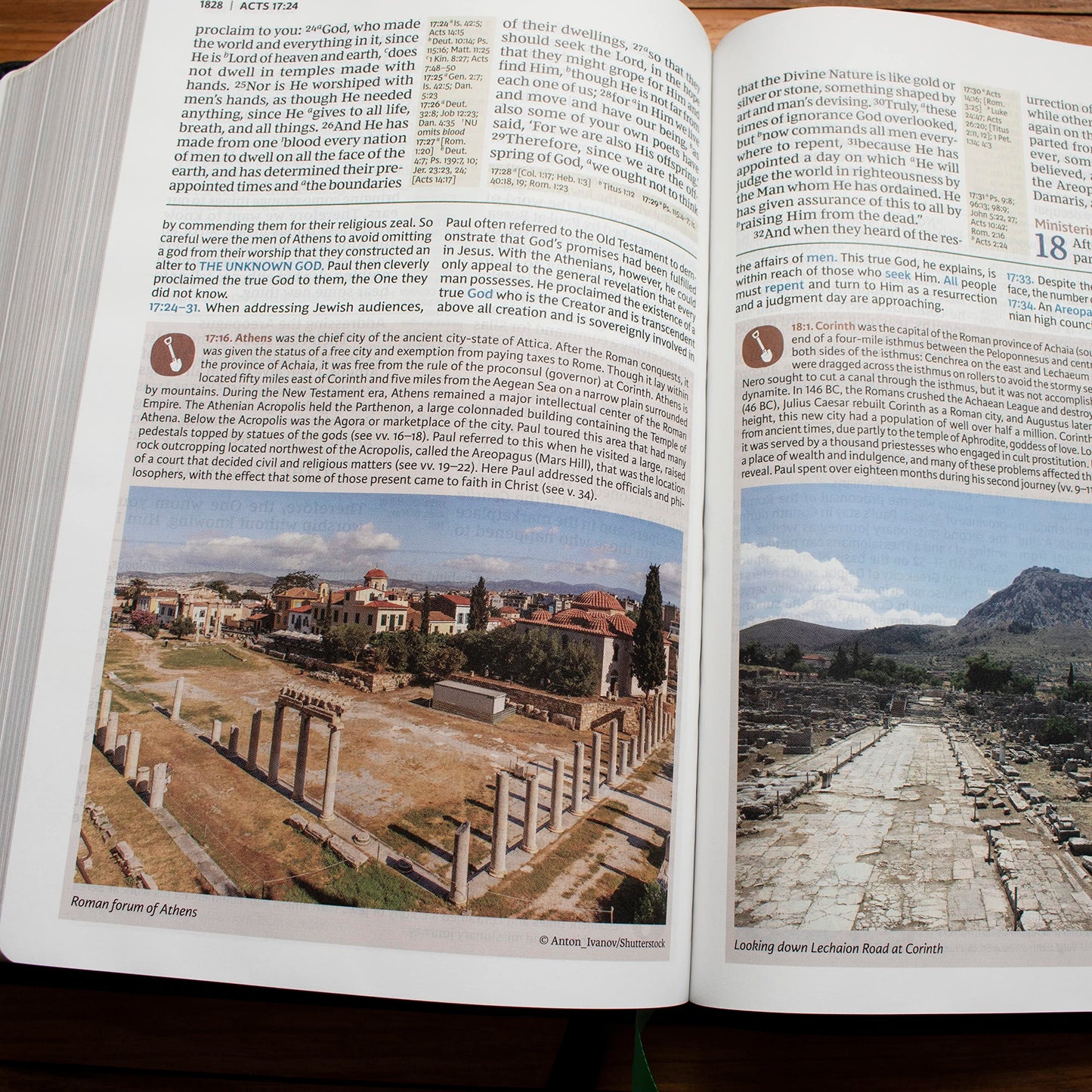 NKJV, Evangelical Study Bible