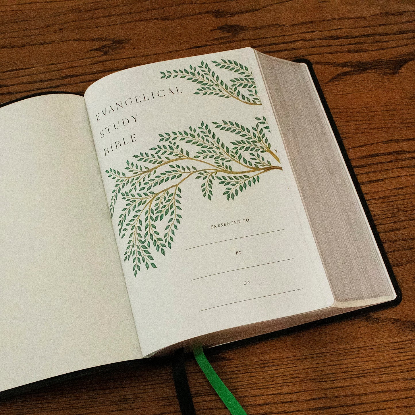 NKJV, Evangelical Study Bible