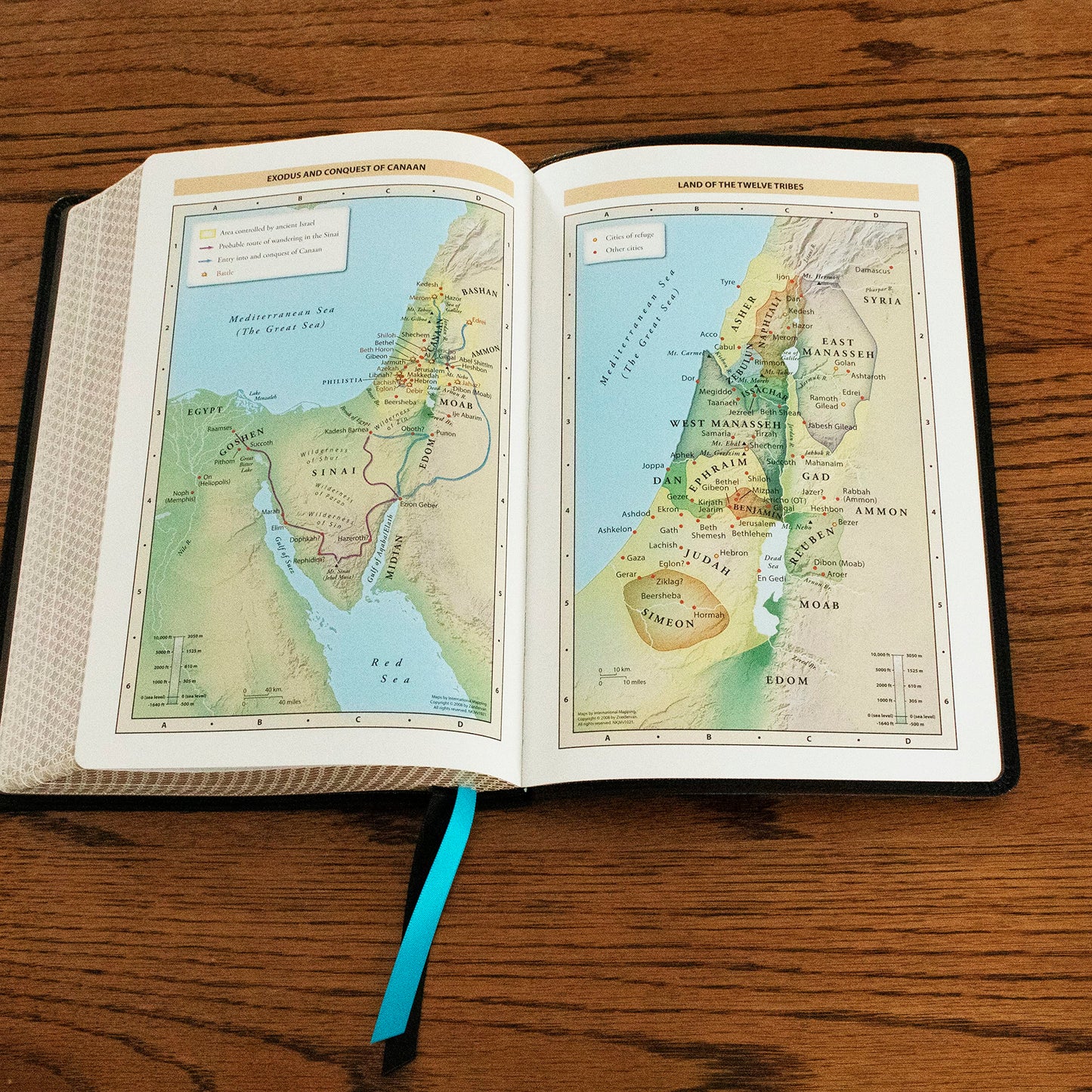 NKJV, Large Print Thinline Reference Bible, Blue Letter, Maclaren Series