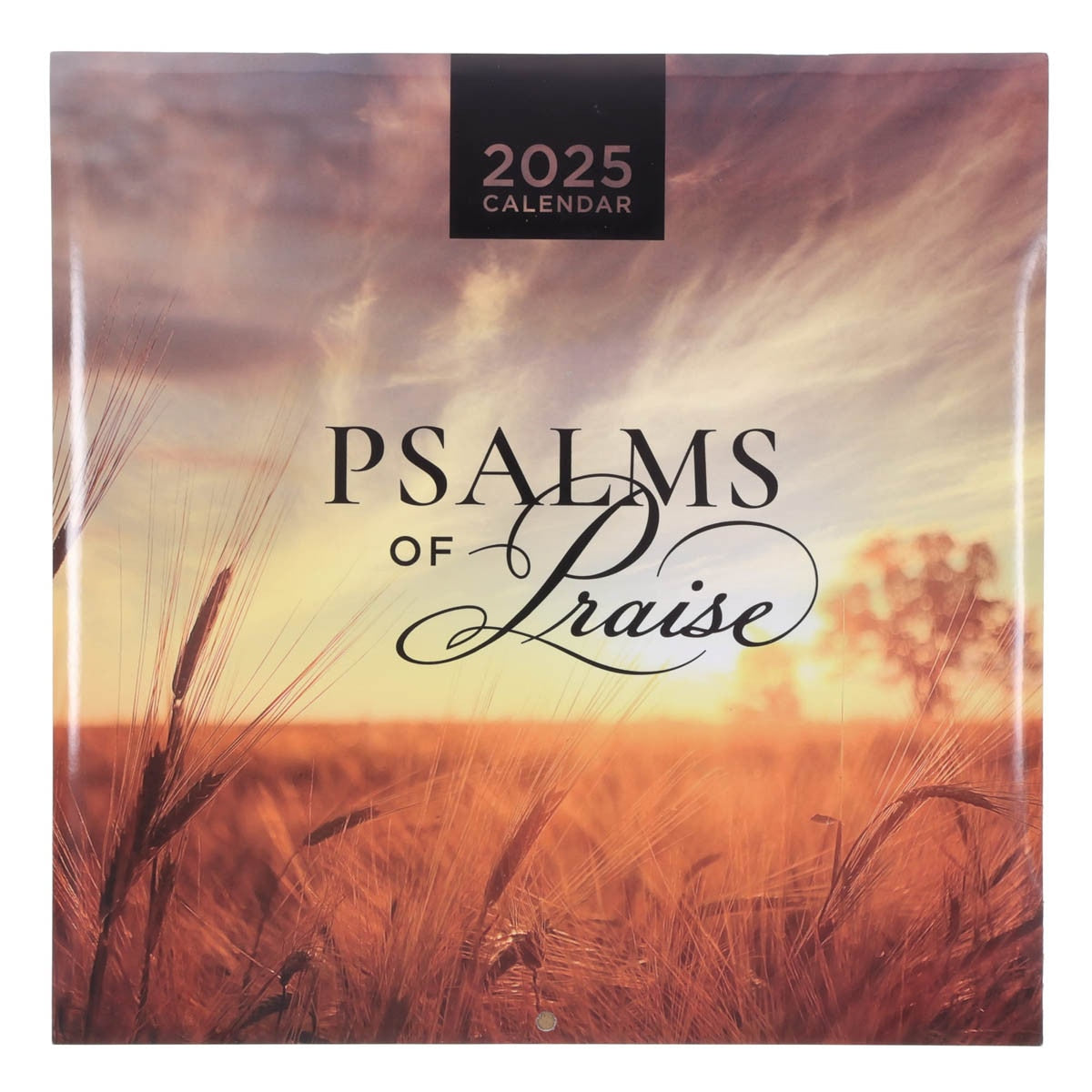 Psalms of Praise 2025 Large Wall Calendar