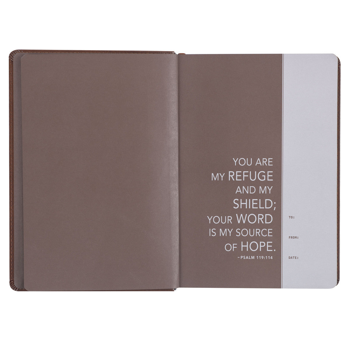 NLT Holy Bible Everyday Devotional Bible for Men