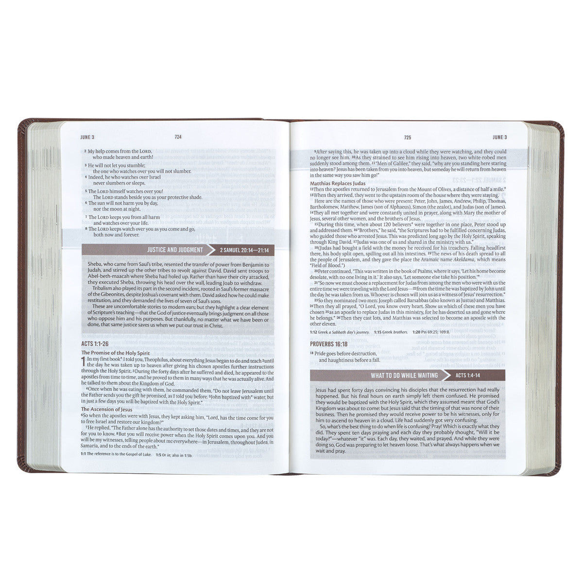 NLT Holy Bible Everyday Devotional Bible for Men