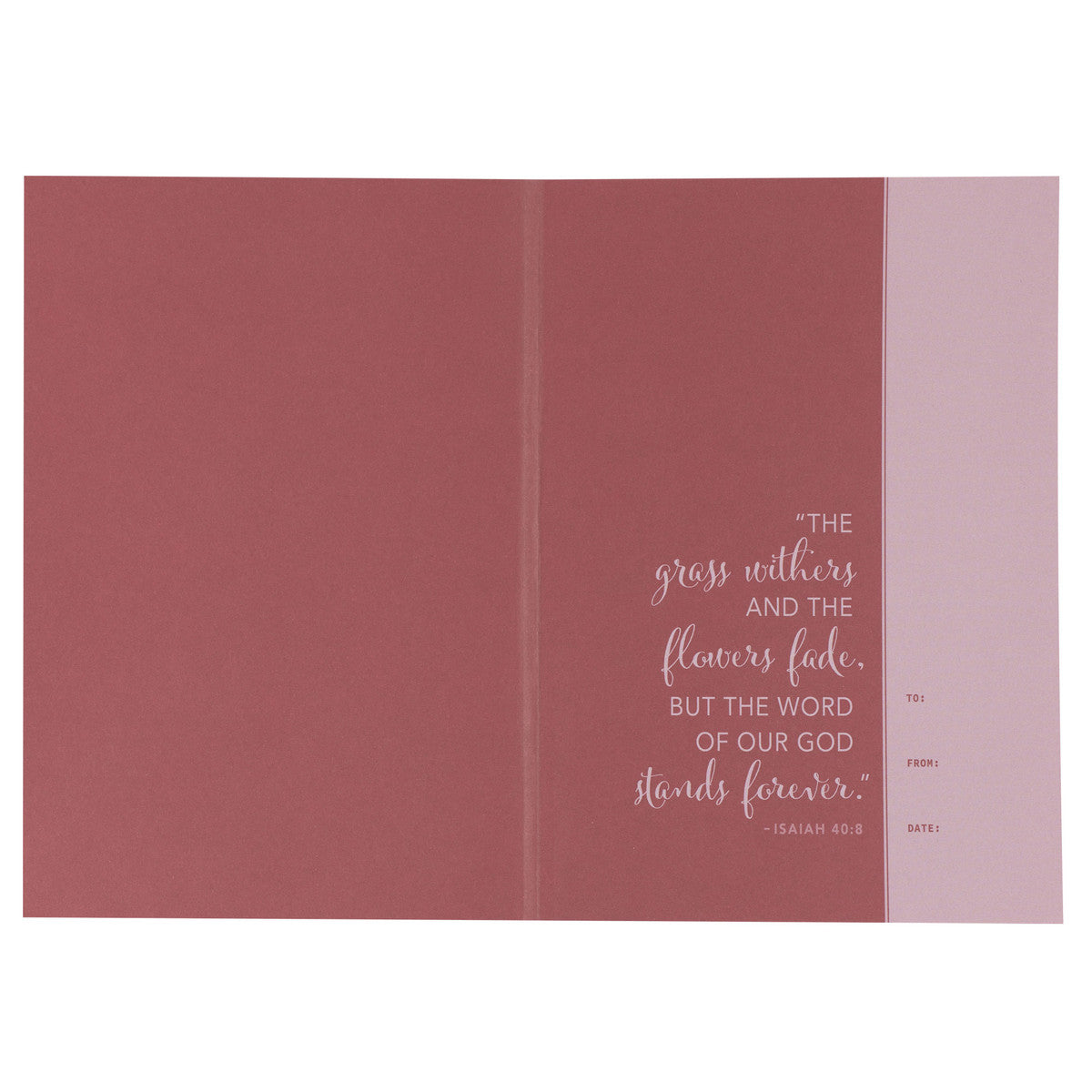 NLT Holy Bible Everyday Devotional Bible for Women