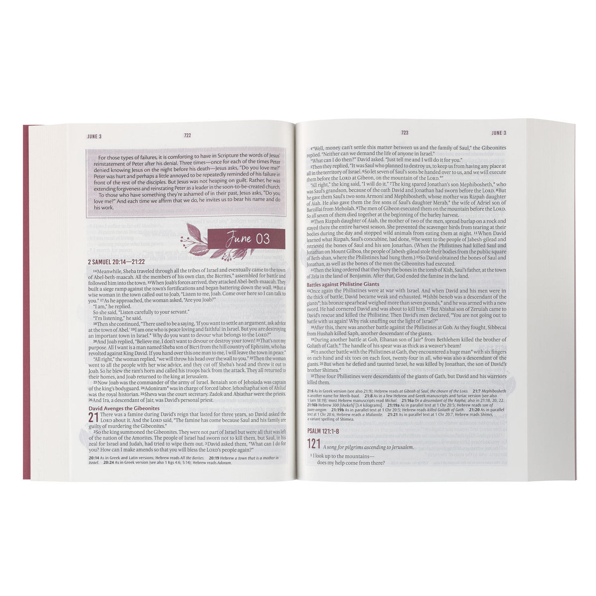 NLT Holy Bible Everyday Devotional Bible for Women
