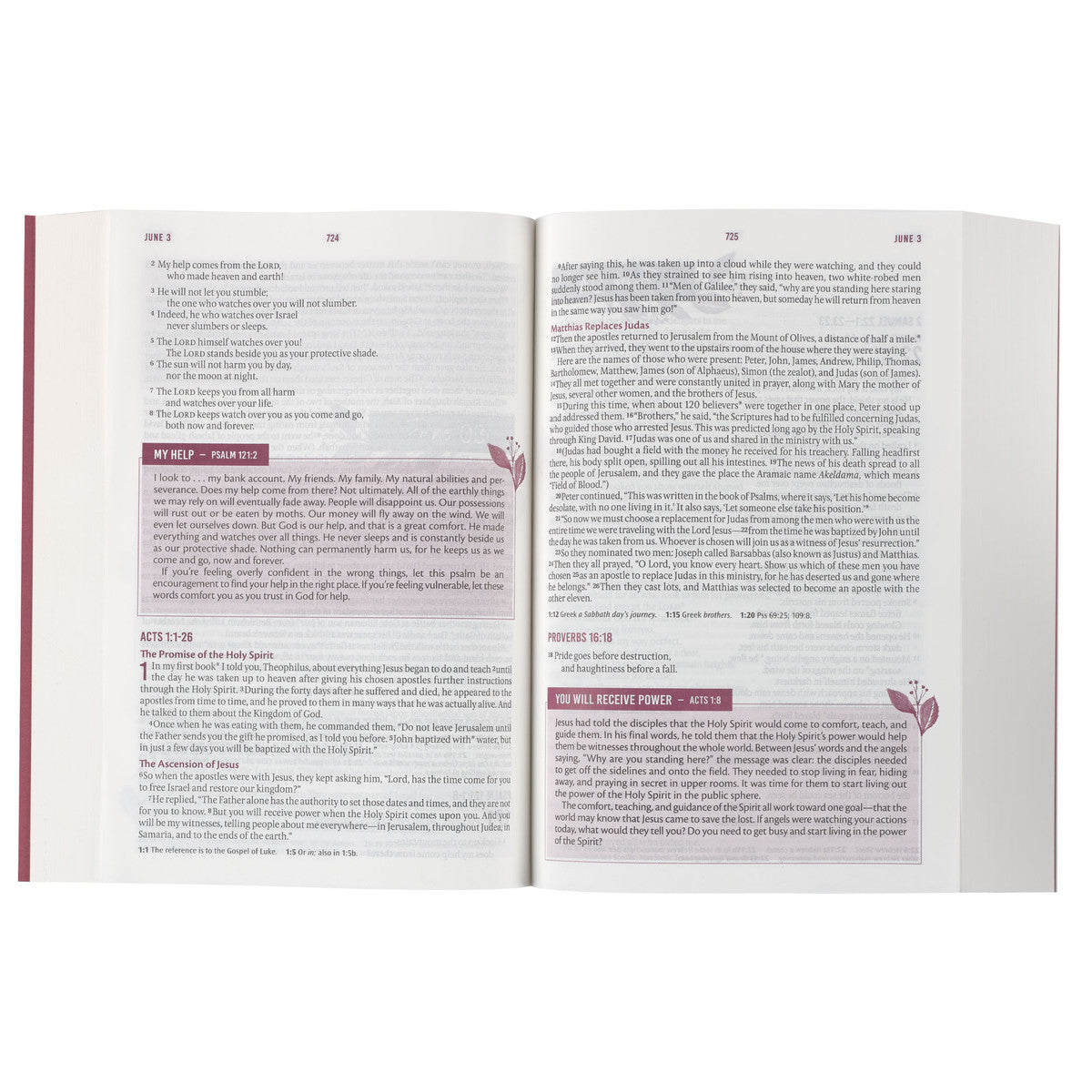 NLT Holy Bible Everyday Devotional Bible for Women