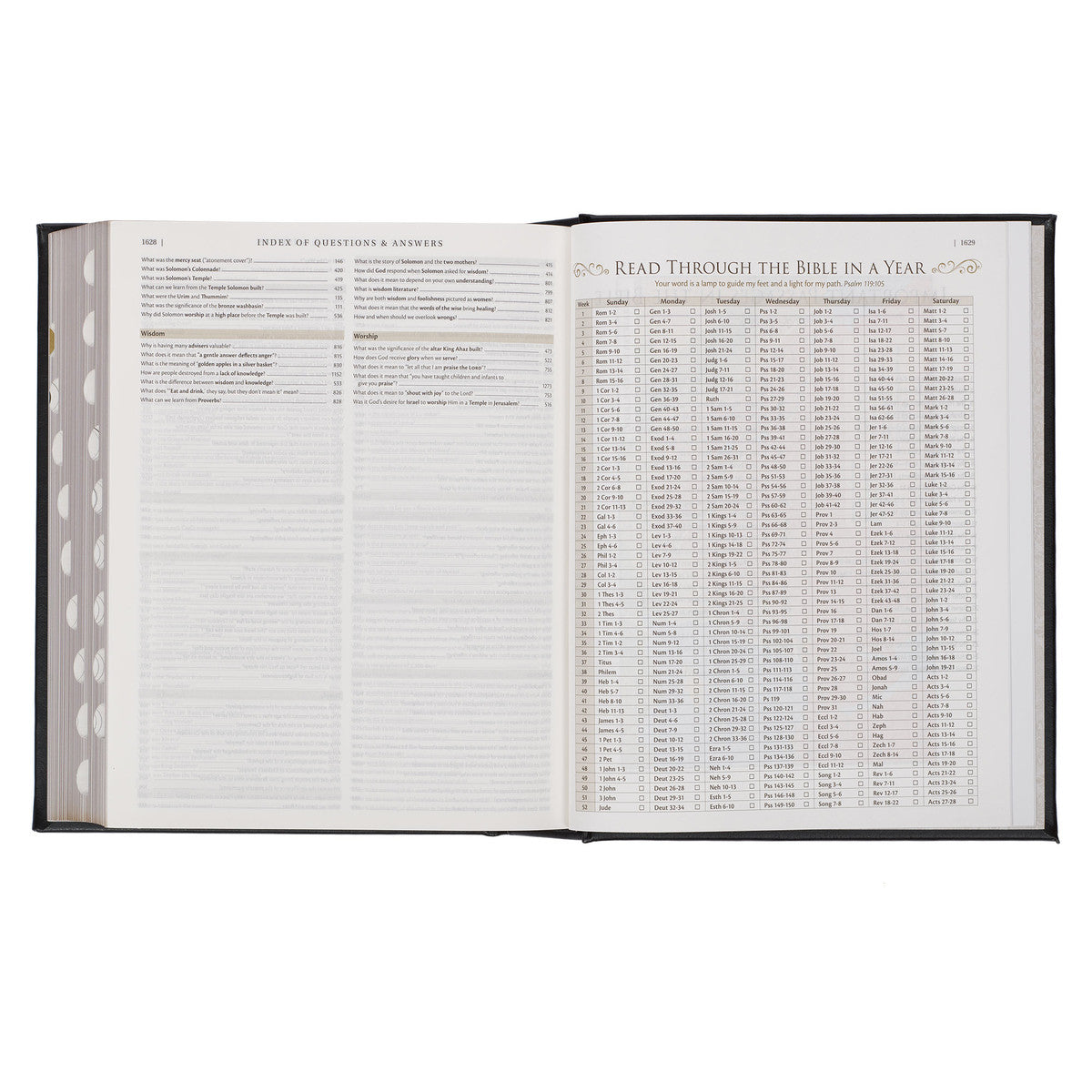 NLT Family Heritage Bible, Large Print