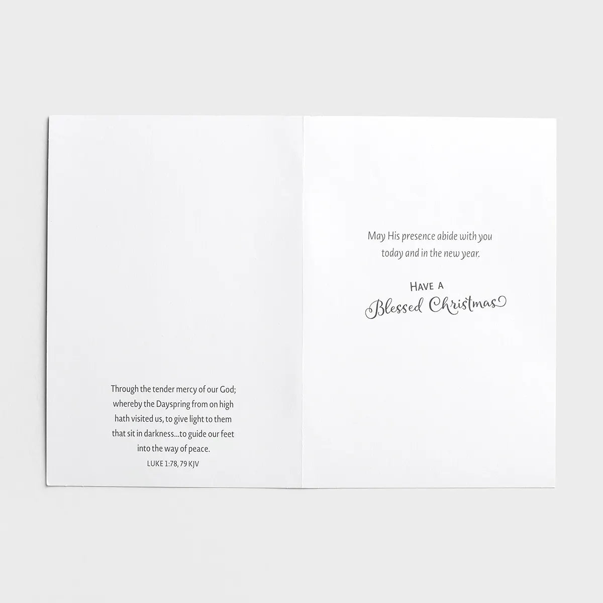 Snowman Gazer and Friends - 18 Christmas Boxed Cards, KJV
