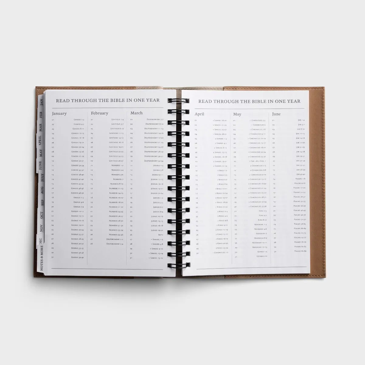 Purpose & A Plan - 2025 Inspirational Premium Appointment Planner