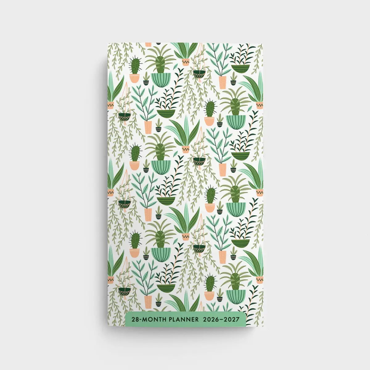 2026 SUCCULENTS 28-MONTH PLANNER
