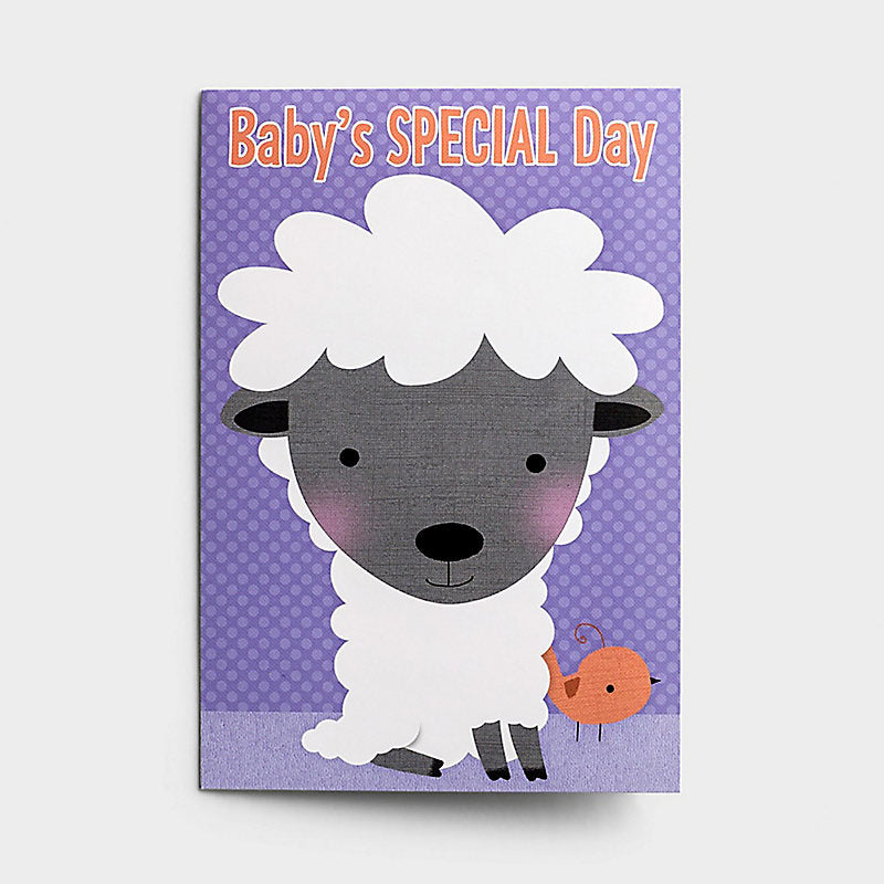 Boxed Cards: Baby - Big Characters