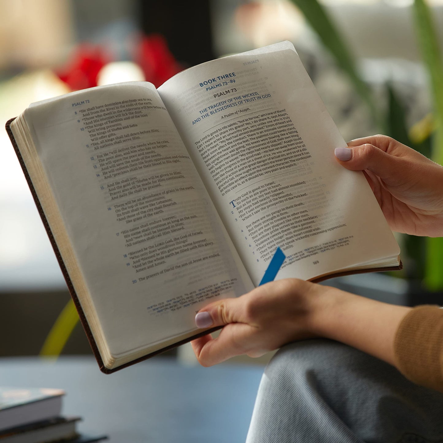 NKJV, Spurgeon and the Psalms, Maclaren Series