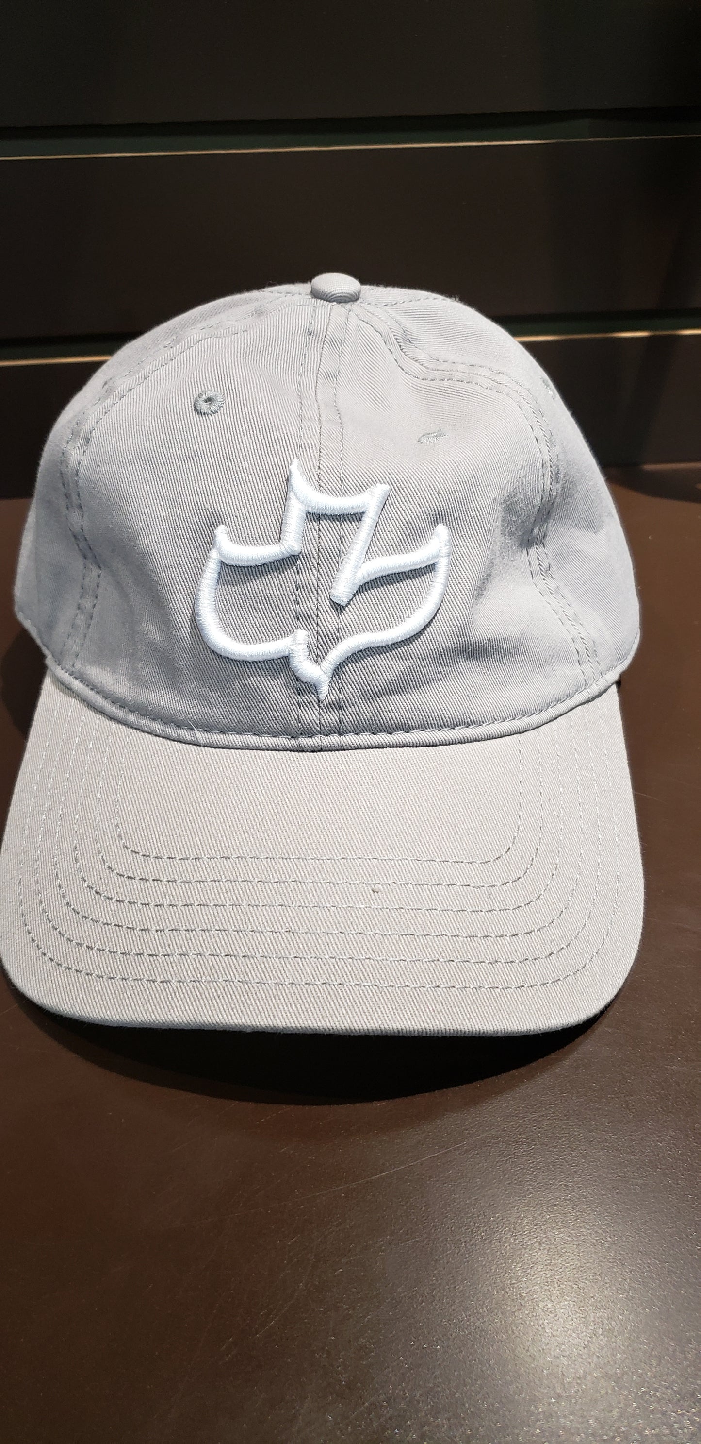 CAP DOVE SHORT BILL STRAPBACK GRAY
