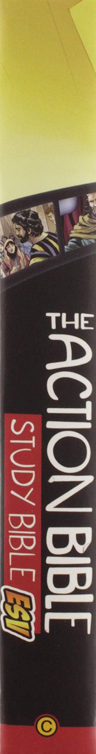 The Action Bible Study Bible ESV (Hardcover)
