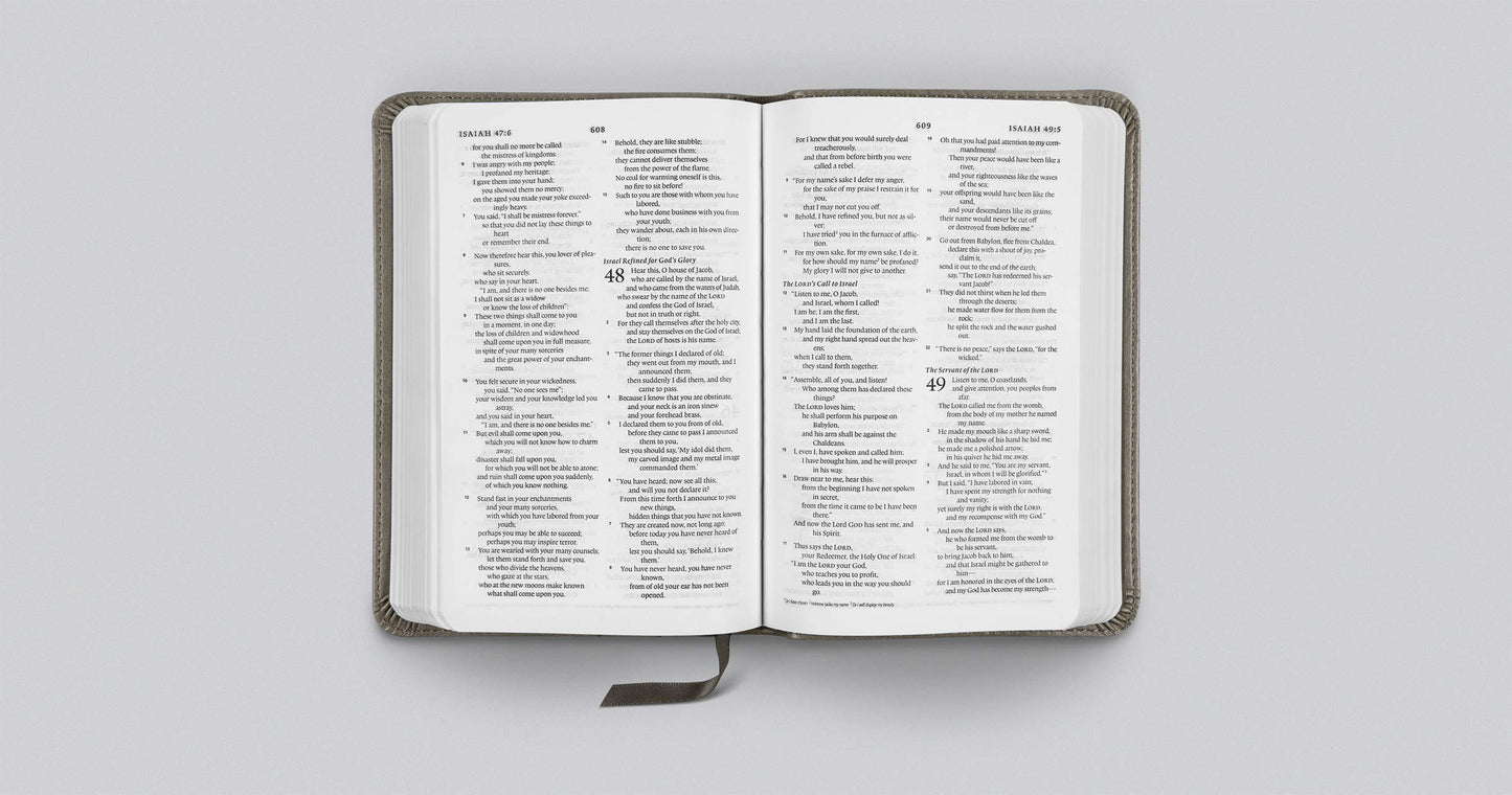 ESV Compact Bible (TruTone, Silver, Sword Design)