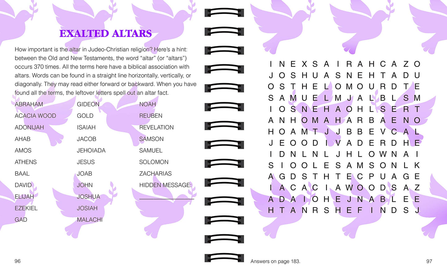 Brain Games - Large Print Bible Word Search