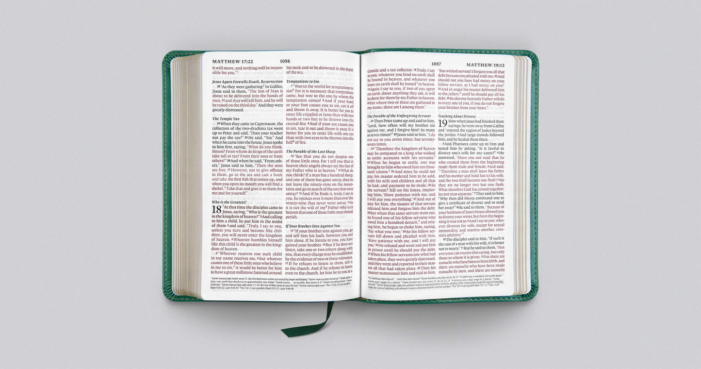 ESV Large Print Compact Bible (TruTone, Teal, Bouquet Design)