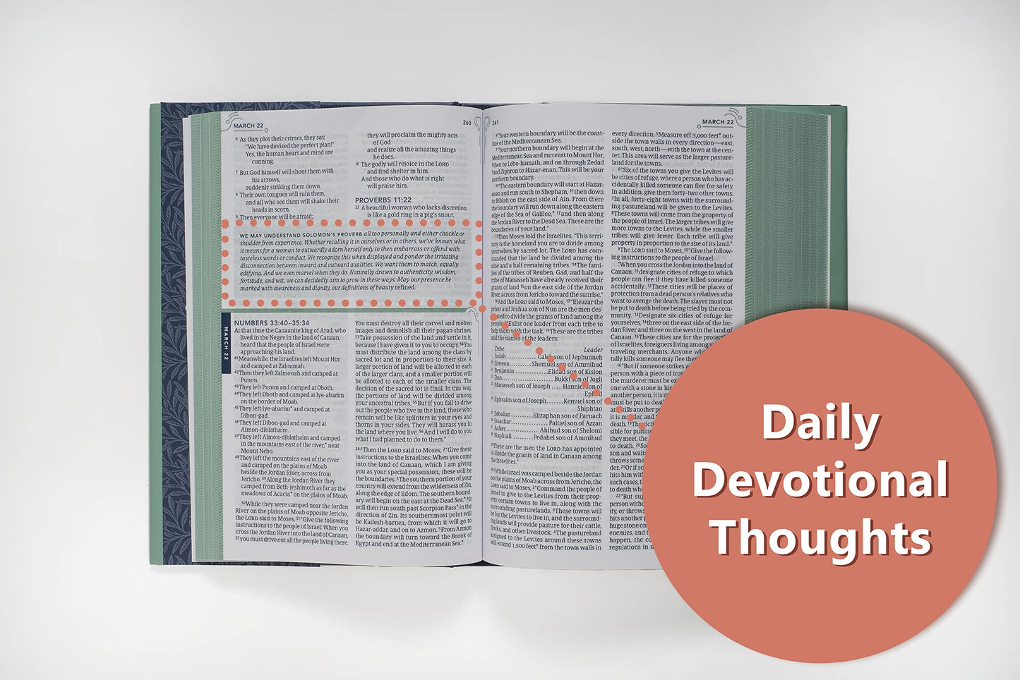 NLT The One Year Bible for Women (Softcover)