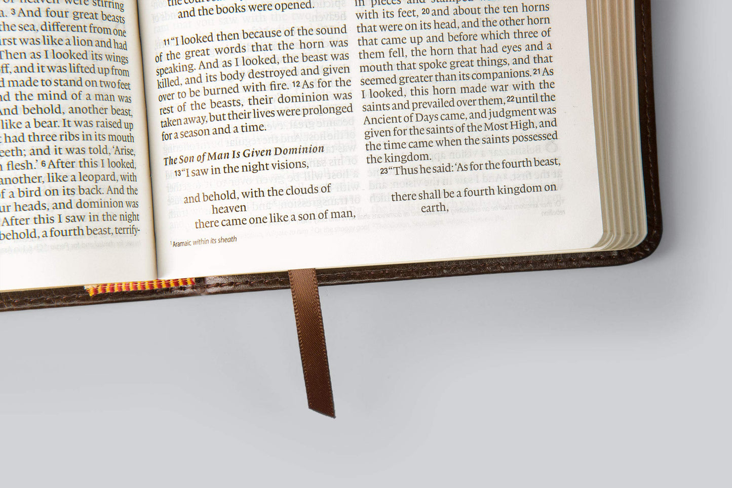 ESV Large Print Compact Bible (TruTone, Brown/Walnut, Portfolio Design)