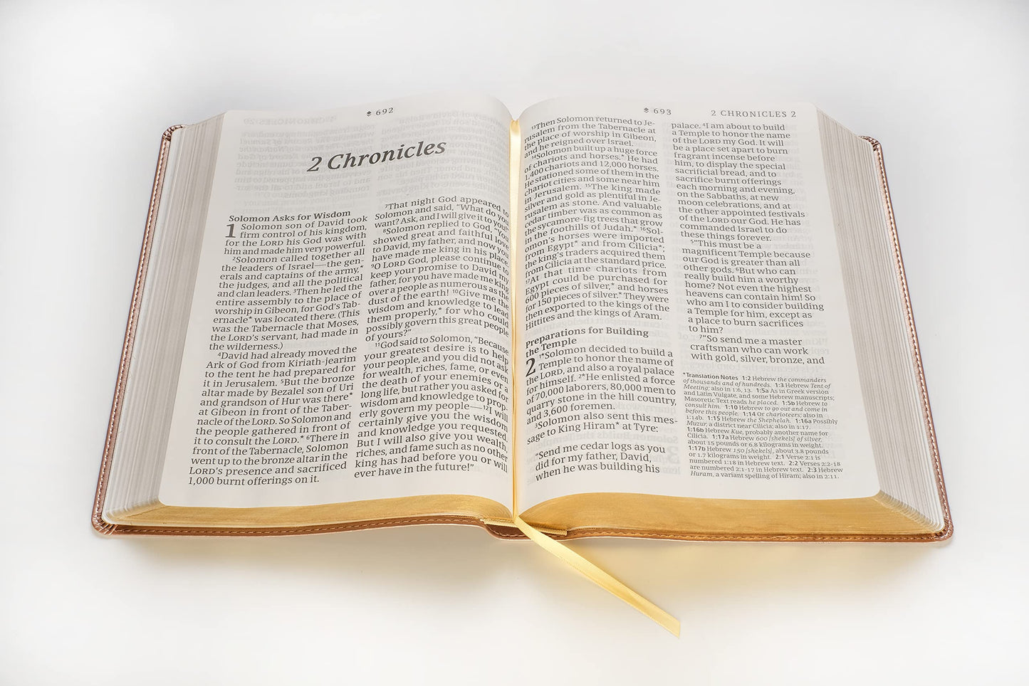 NLT Super Giant Print Bible, Filament Enabled Edition (Red Letter, LeatherLike, Blush Floral): DaySpring Signature Collection