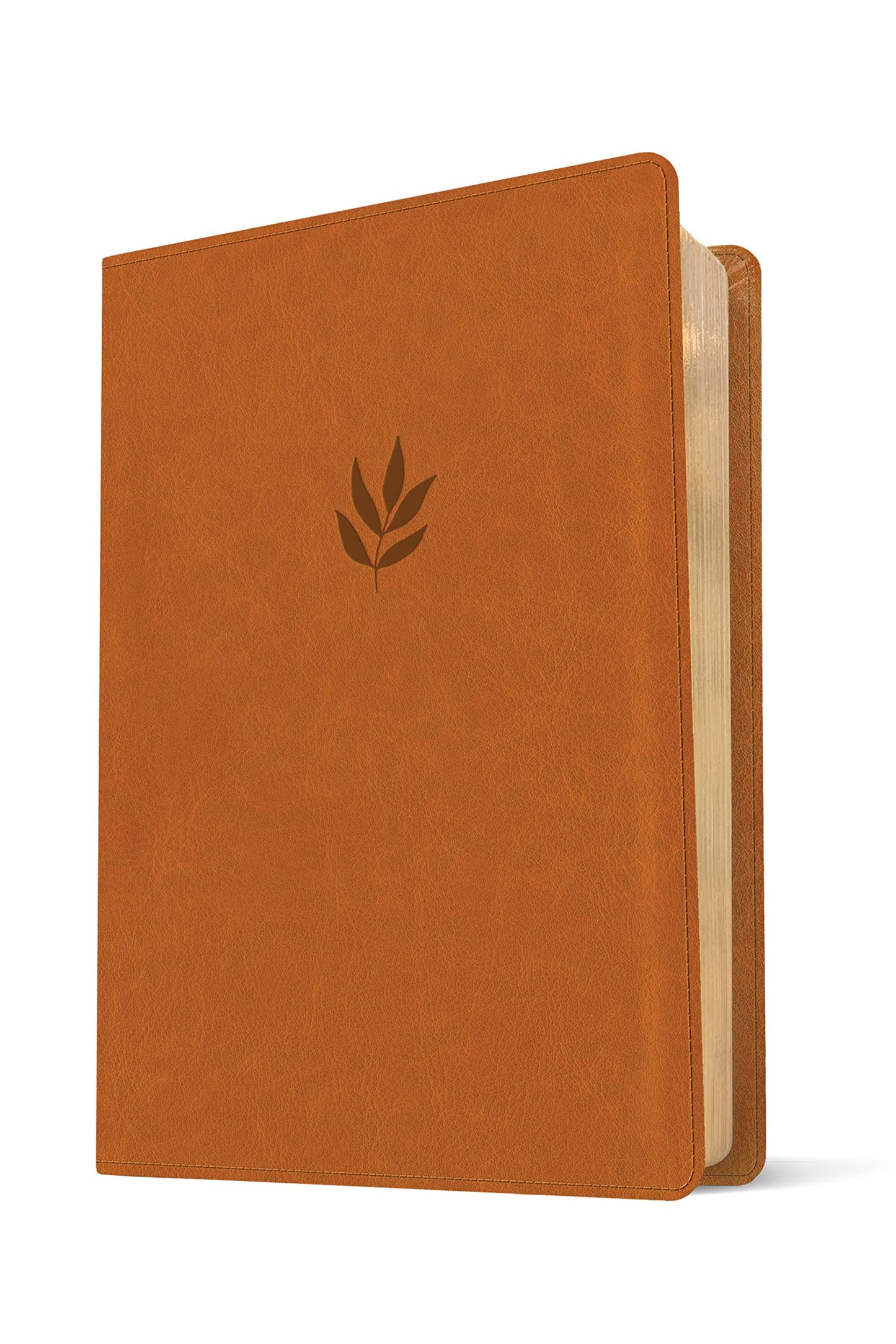 NLT Personal Size Giant Print Bible, Filament Enabled Edition (Red Letter, LeatherLike, Classic Tan): DaySpring Signature Collection