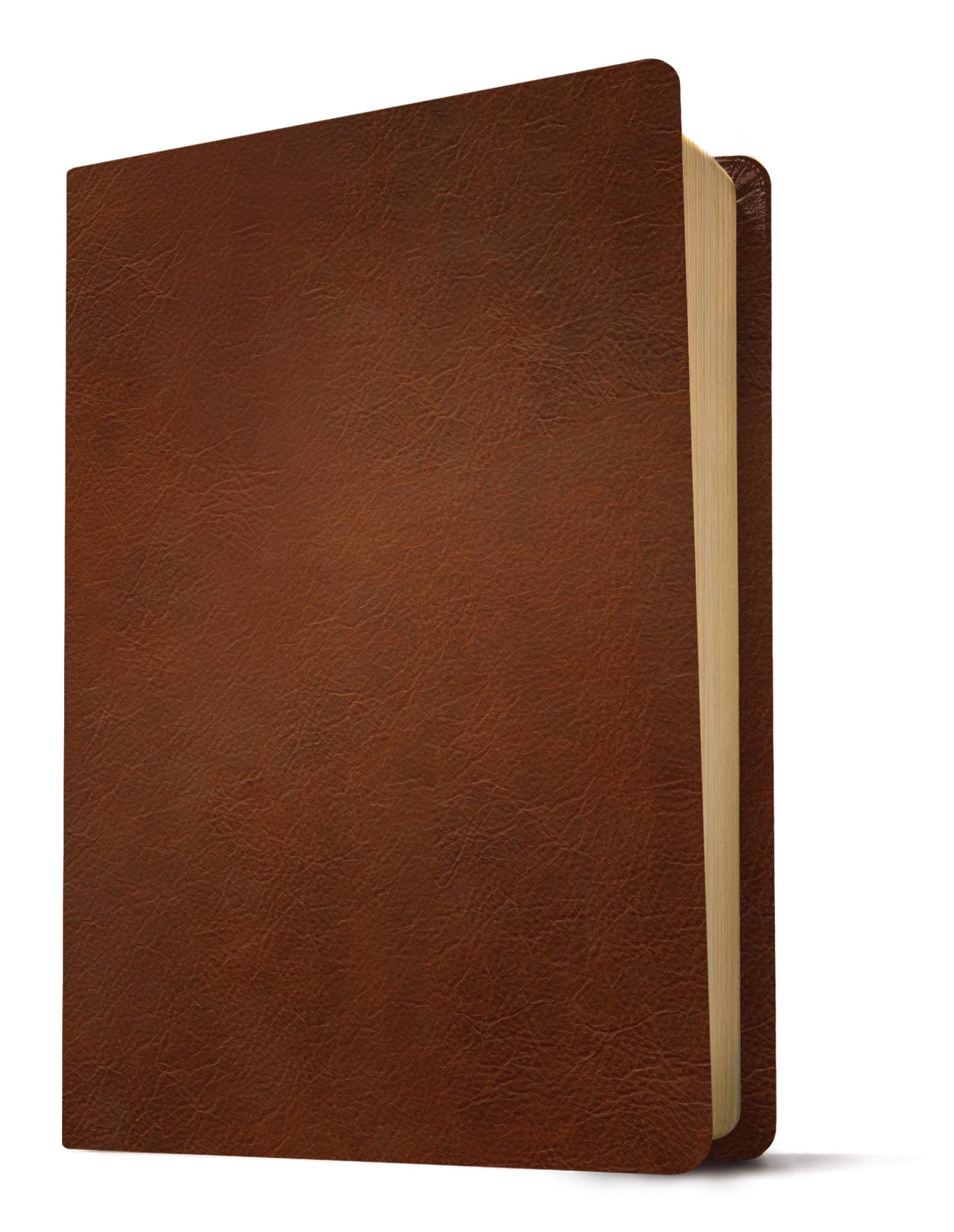 NLT Giant Print Personal Size Filament Enabled Genuine Leather