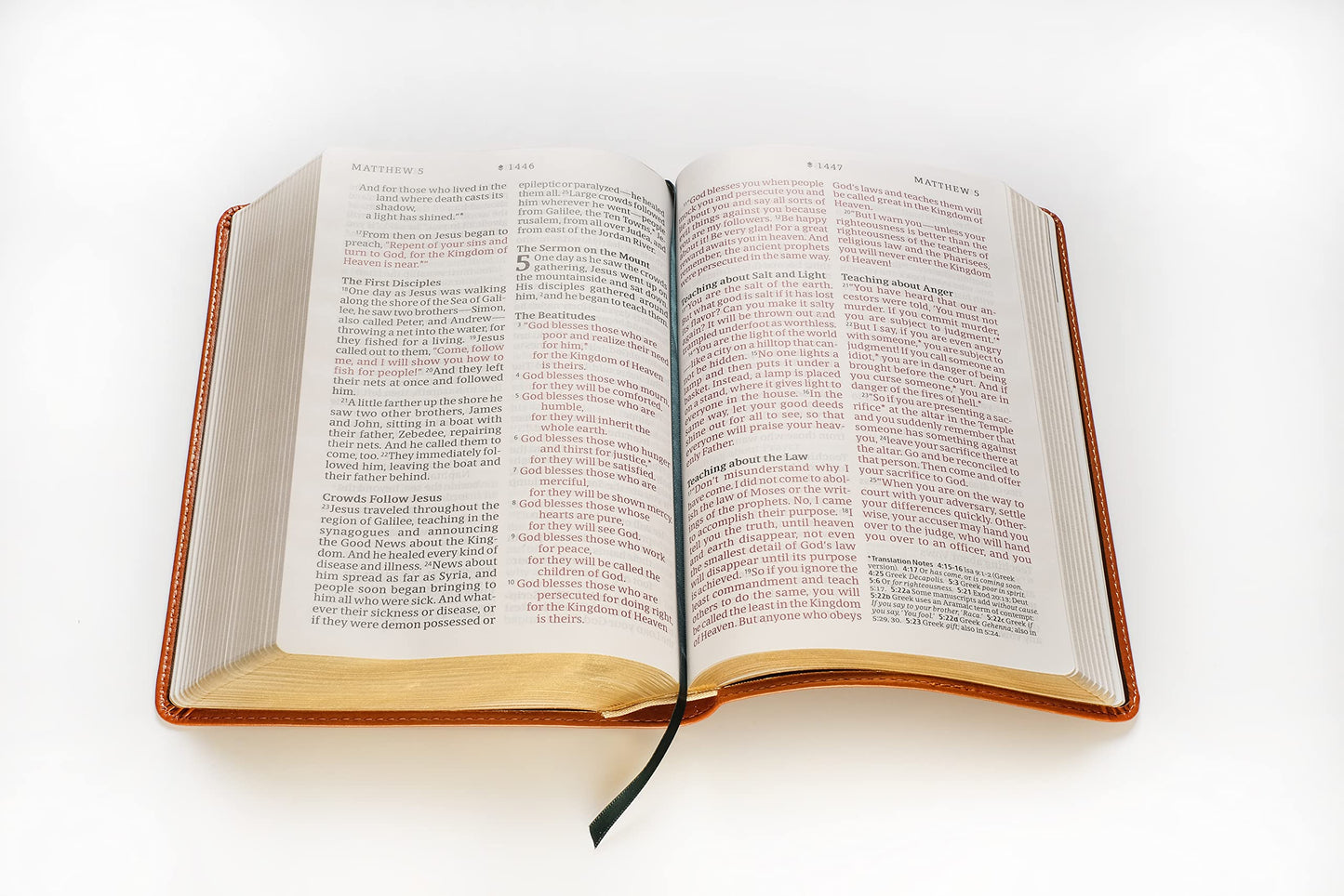 NLT Personal Size Giant Print Bible, Filament Enabled Edition (Red Letter, LeatherLike, Classic Tan): DaySpring Signature Collection