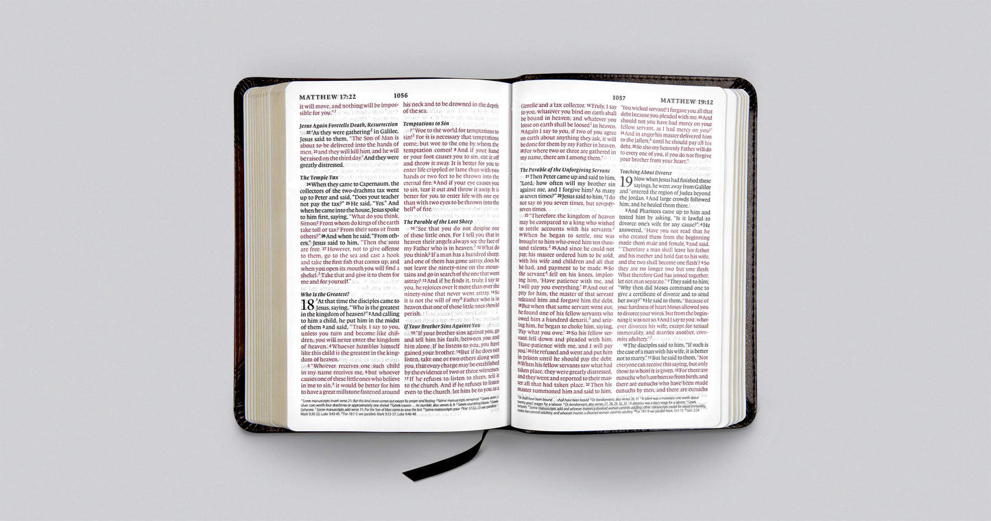 ESV Large Print Compact Bible (TruTone, Brown/Walnut, Portfolio Design)