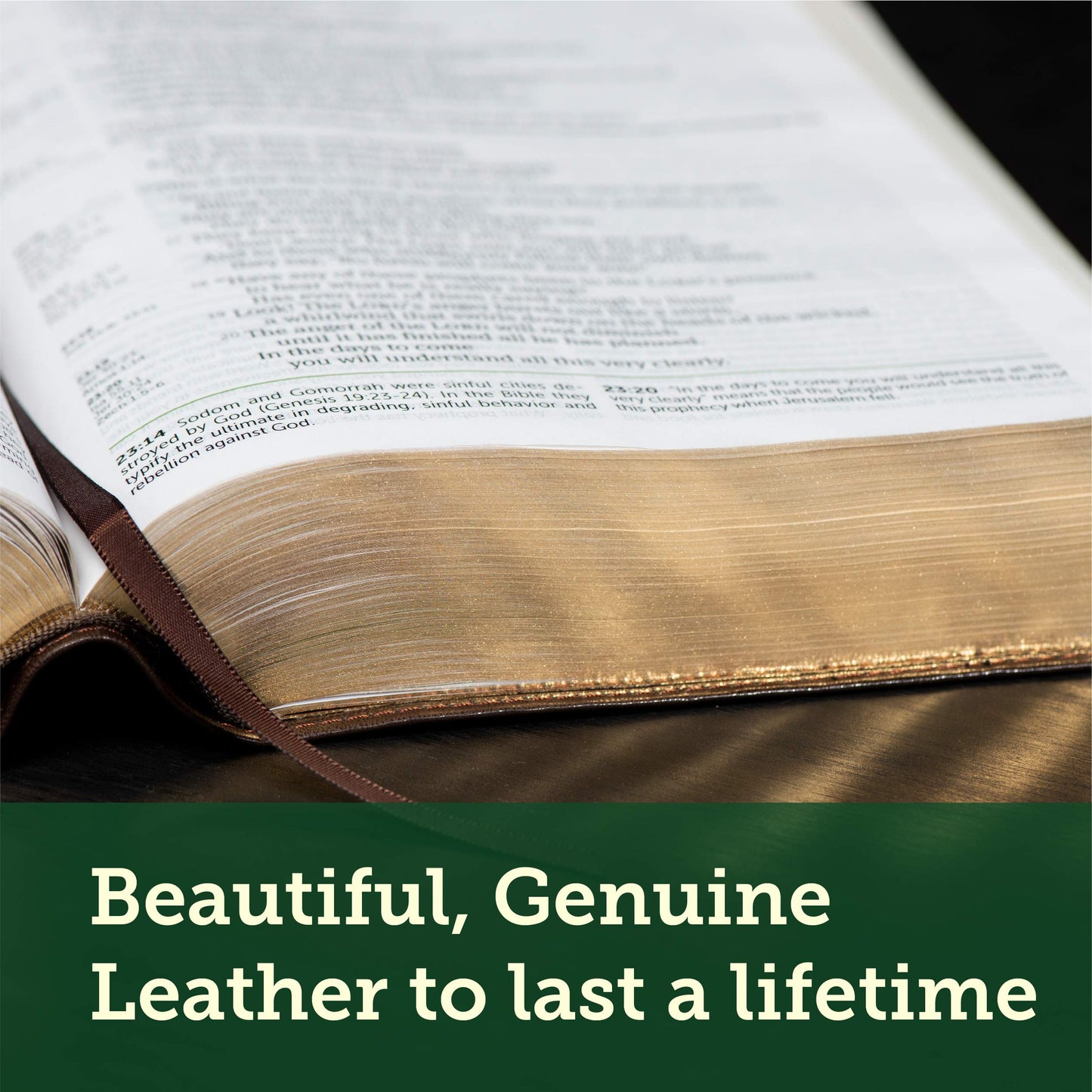 Tyndale NLT Life Application Study Bible, Third Edition, Large Print (Genuine Leather, Brown, Red Letter) – New Living Translation Bible, Large Print Study Bible for Enhanced Readability