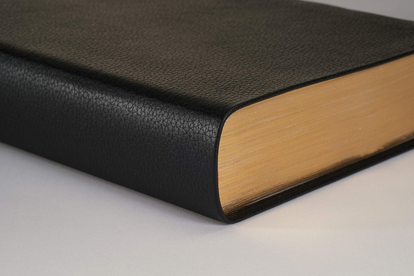 NLT Giant Print Personal Size Filament Enabled Genuine Leather