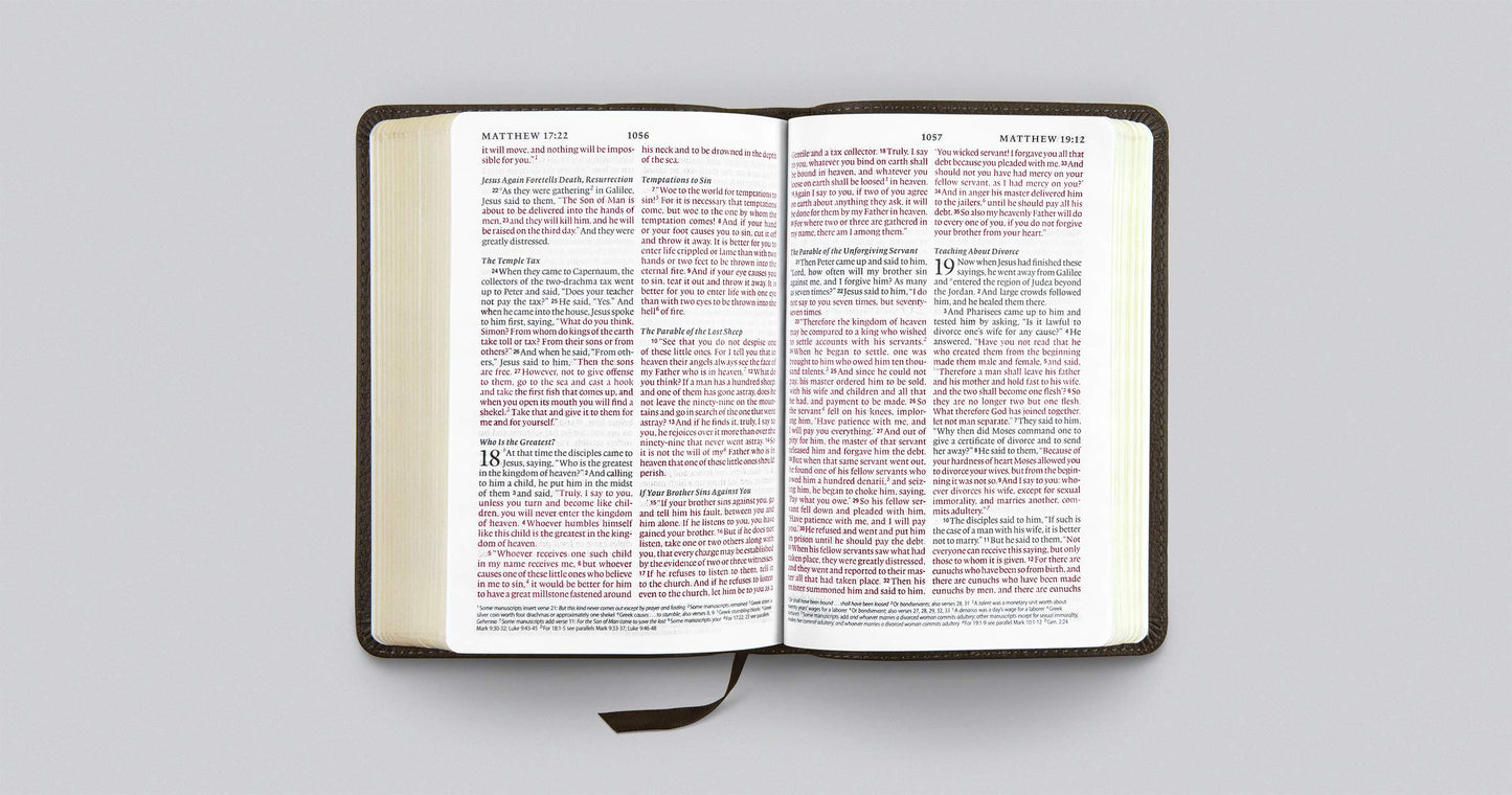 ESV Large Print Compact Bible (Buffalo Leather, Deep Brown)