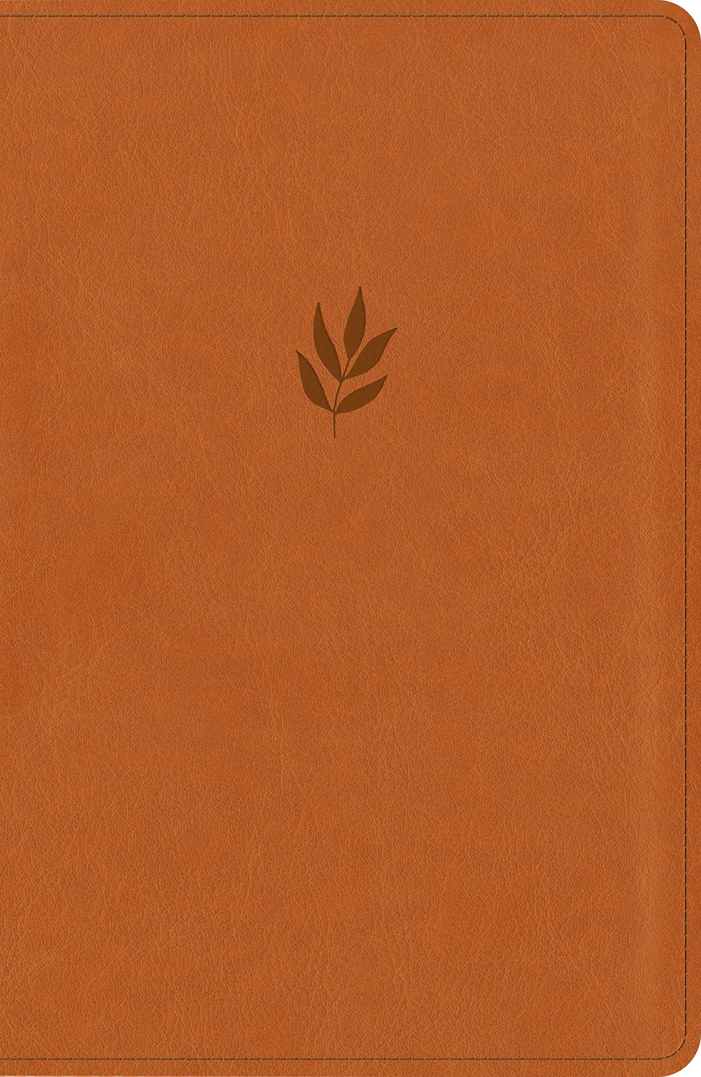 NLT Personal Size Giant Print Bible, Filament Enabled Edition (Red Letter, LeatherLike, Classic Tan): DaySpring Signature Collection